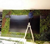 丛一绿植墙,南昌垂直绿化仿真植物墙生产厂家