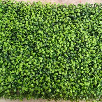 丛一绿植墙,杭州垂直绿化仿真植物墙厂家