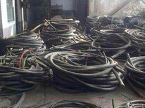 东营电缆回收今日东营电缆回收价格图片5