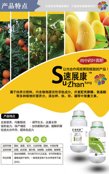 藍莓炭疽病怎么治才能好