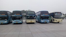 坐车:惠州到漳浦卧铺汽车/图片5