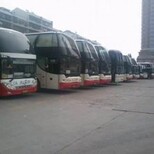 从杭州鲁山客车汽车票价发车时间查询图片2