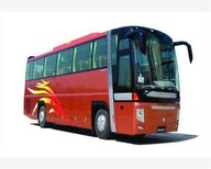 （客车）从南宁邯郸客车汽车大巴）余票查询图片5