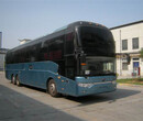 （客车）从上海北海大巴车+汽车）余票查询图片