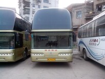 （客车）从长沙济源客车汽车大巴）及发车查询图片5