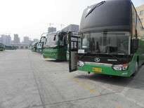 （客车）从柳州漯河客车+汽车票）及发车查询图片5