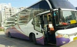 永康永康到舞阳县的直达客车汽车大巴车每天发车图片3