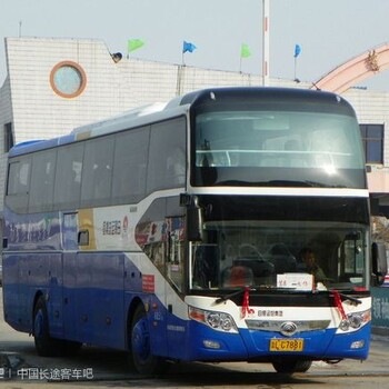 (客车)上海到鹤壁大巴(长途客车)查询票价合理