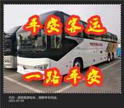 长沙到宿州客车大巴(汽车直达宿州)在哪坐车图片3