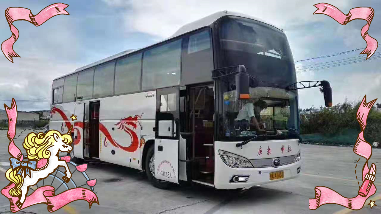 客车)晋江开到安徽涡阳汽车客车(查询/大巴)每天发几班
