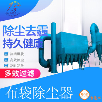 200袋布袋除塵器袋式除塵設(shè)備河北銳馳朗環(huán)保廠家