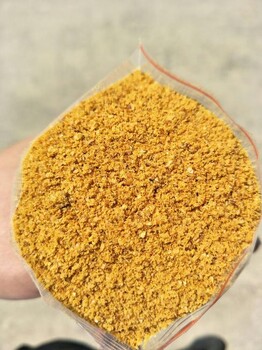 2號色玉米酒糟價格河北批發(fā)DDGS的廠家