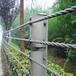 景区缆索护栏钢丝绳陡坡缆索护栏五索缆索护栏路侧喷塑缆索围栏