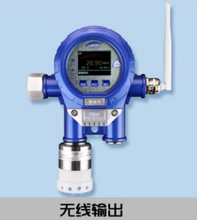 APEG-J-1P-CH3Br溴甲烷检测仪