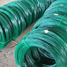 河北源头厂家供应包塑铁丝包塑镀锌丝pvc包塑丝绿皮铁丝图片