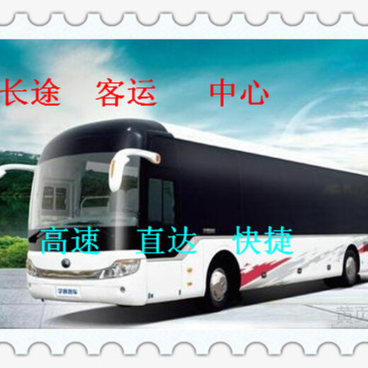 汽车）青岛到霞浦大巴车时刻表查询（欢迎您）票价多少