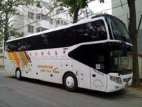 青岛到范县长途客车欢迎莅临图片3