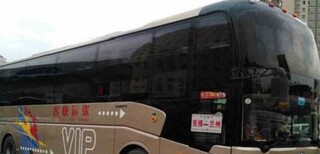 客车青岛到金华客车班次24小时热线图片5