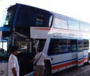 （客车）青岛到三明大巴车+汽车及车站