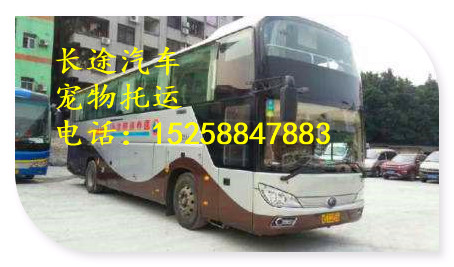 客车）杭州到铜川汽车有多远KC大巴专线直达