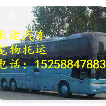 乘坐台州到洞口汽车专线时刻表大巴车包车-1525公告查询