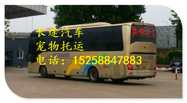 客车）杭州到陆丰大巴车要多久到诚信服务：1525公告资讯
