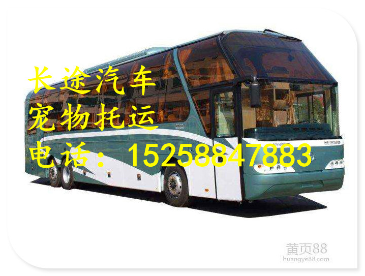 乘坐台州到湛江大巴长途汽车大巴车租车-1525公告查询