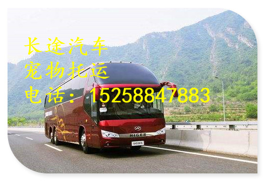 欢迎乘坐义乌到蒙阴/汽车专线时刻表大巴车包车/多久可以到