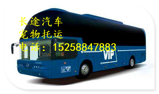 欢迎乘坐杭州到平顶山/客车线路一览表大巴车租车/在哪坐车