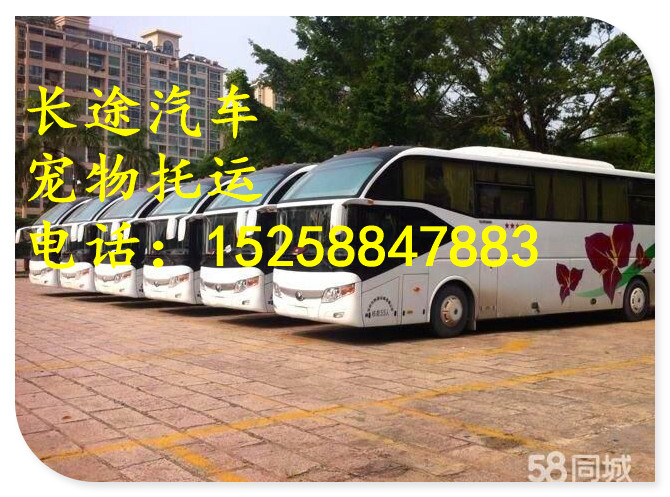 客车）杭州到陆丰大巴车要多久到诚信服务：1525公告资讯