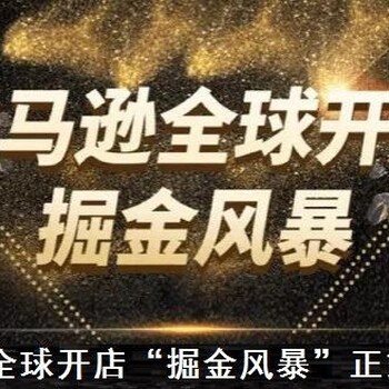 开启全国亚马逊开店，亚马逊运营技术孵化，亚马逊ERP系统定制，亚马逊无货源模式