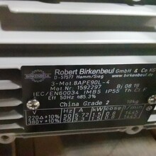 售德国Birkenbeu电机8APE90L-4-IE3