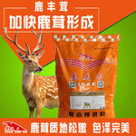 养鹿的关键技术，鹿预混合饲料