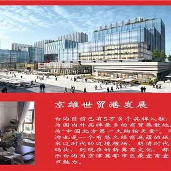 白沟京雄世贸港三期开发商对公账户是北京恒群房地产吗乐至县