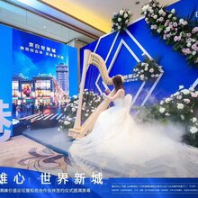 雄-安产业新城京雄世贸港领秀城-楼盘投资价值_胶州图片
