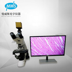 厂家直销无限远拍储存测量显微镜研究型大倍数生物显微镜