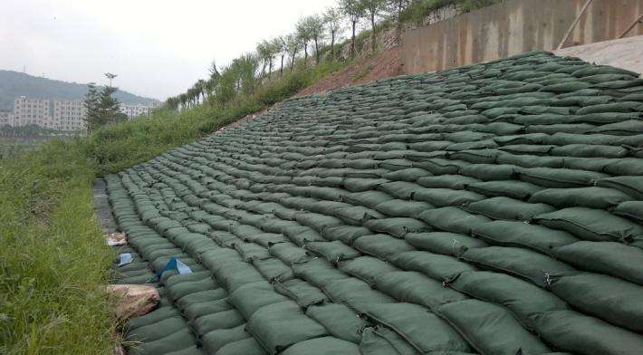 安徽椰丝毯抗冲生物毯厂家，可包施工
