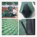北京植物纤维毯厂家销售价格图片2