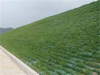 辽宁护坡生态毯施工规范，技术参数