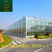 鑫藝農溫室文洛式玻璃溫室玻璃溫室制造玻璃溫室大棚造價溫室大棚骨架材料