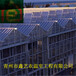 鑫藝農溫室PC連棟智能溫室pc陽光板溫室建設溫室大棚骨架材料