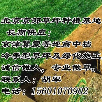 张家口绿化草坪厂家张家口草坪价格张家口草坪基地