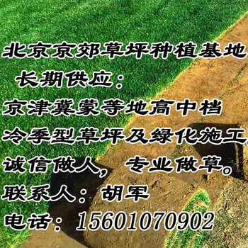 内蒙古销售草坪厂家呼和浩特草坪绿化东胜公园草皮赤峰包头