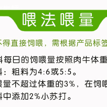 牛吃什么上膘快肉牛催肥绝招肉牛育肥饲料