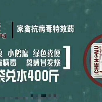 鸡掉料是什么病-鸡新城疫用什么药-治疗鸡新城疫案例