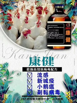 肉鴨安卡拉防治一肉鴨安卡拉用啥葯一預(yù)防鴨安卡拉