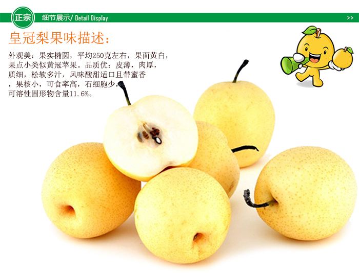 梨樹(shù)苗種子批發(fā)2公分梨樹(shù)苗基地包郵寄