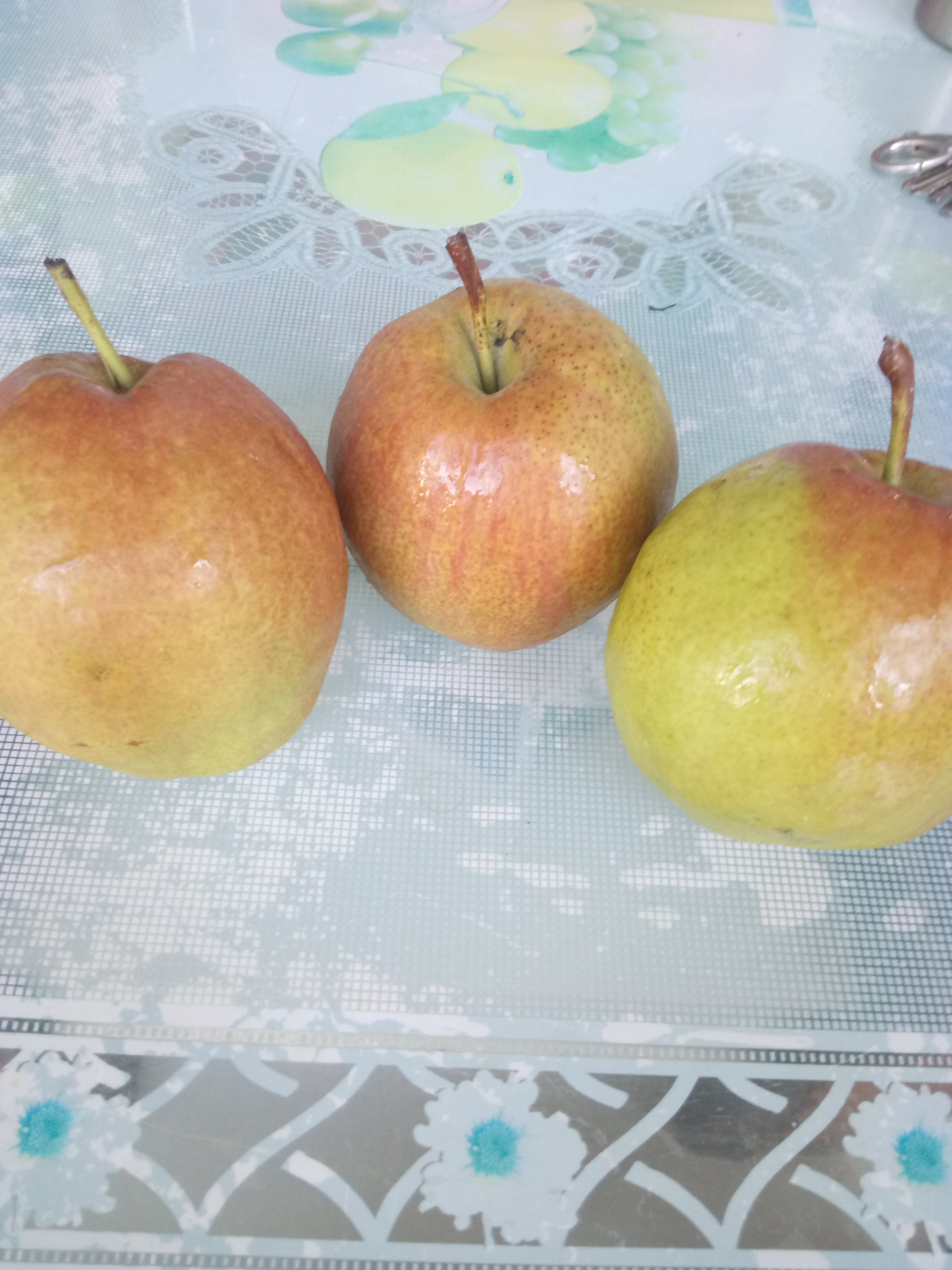 梨樹實(shí)生苗基地1.5米梨樹苗包郵寄