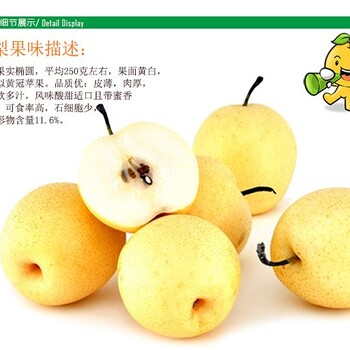 遼寧奧紅一號(hào)梨樹苗基地種植要點(diǎn)