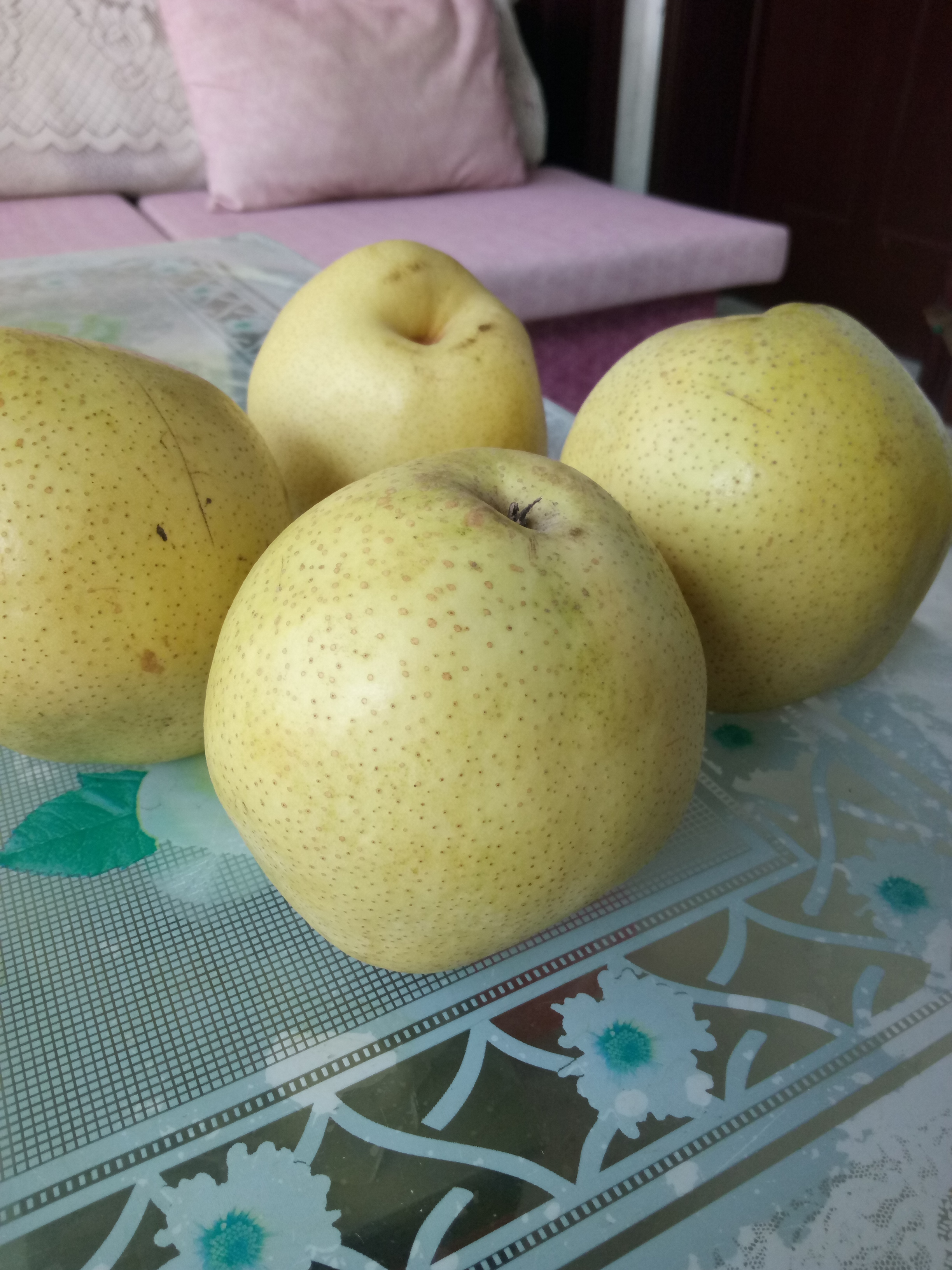 遼寧2公分梨樹苗結(jié)果狀種植要點